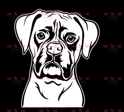 Boxer 3
