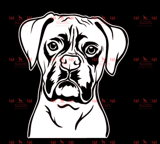 Boxer 3