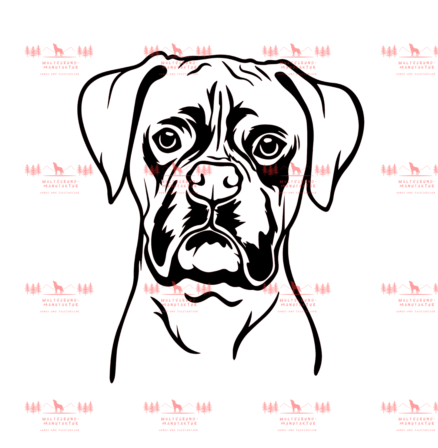 Boxer 3