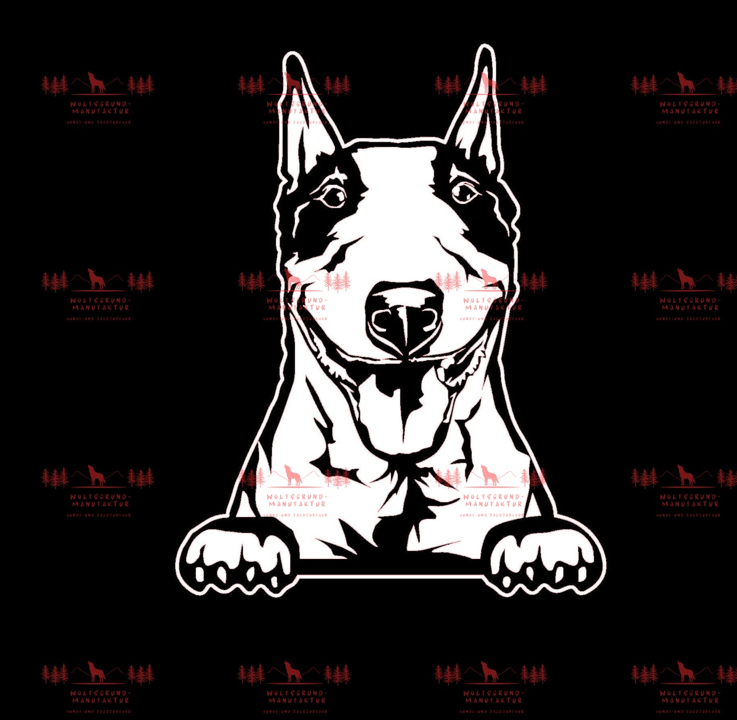 Bull Terrier 1
