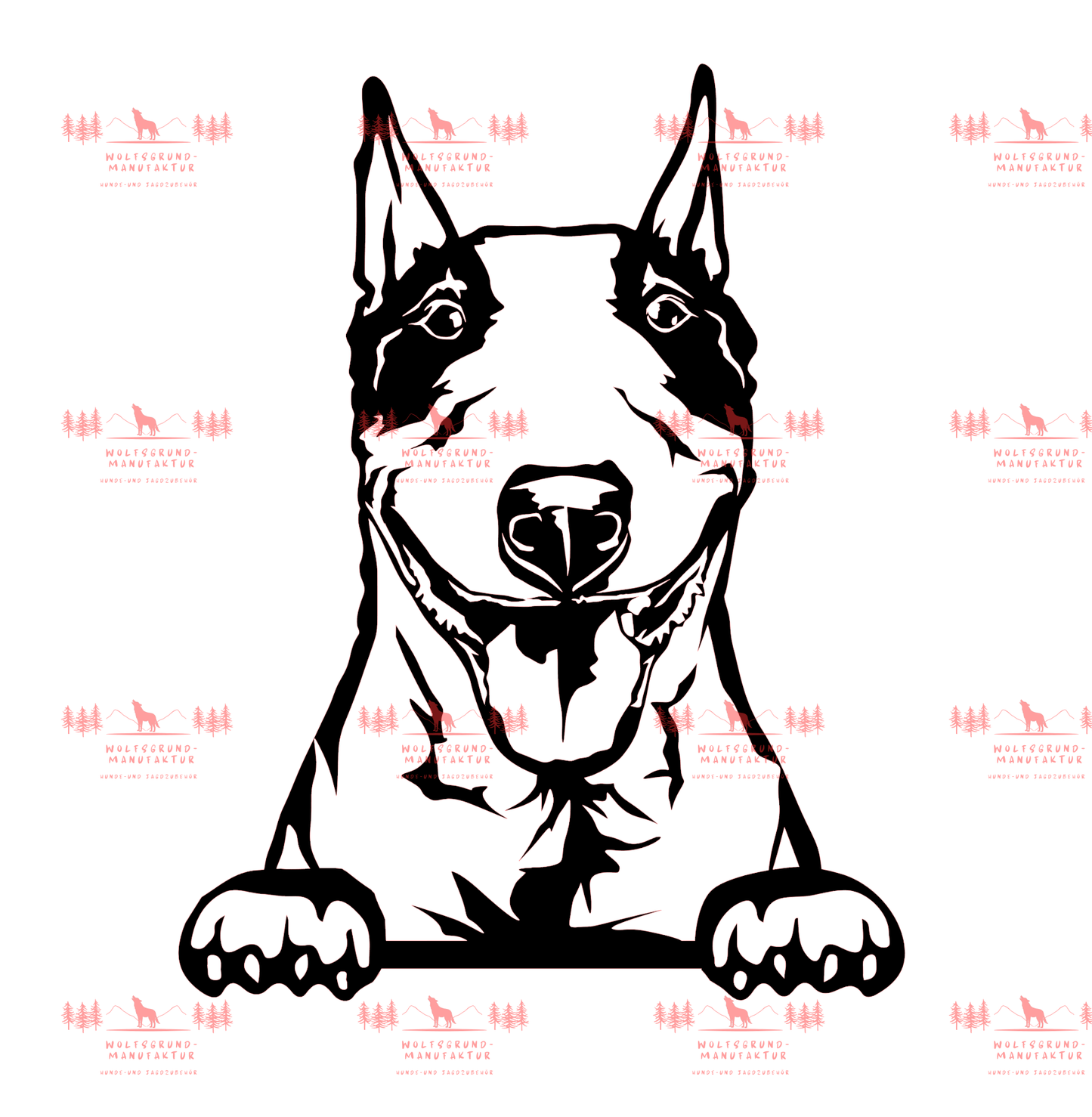 Bull Terrier 1