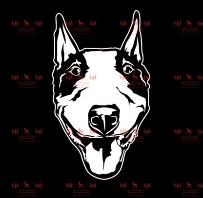 Bull Terrier 2
