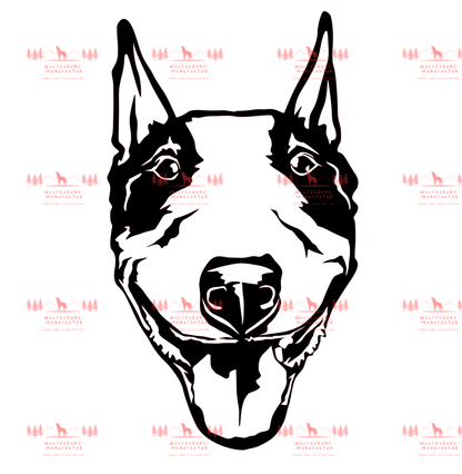Bull Terrier 2