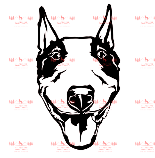 Bull Terrier 2