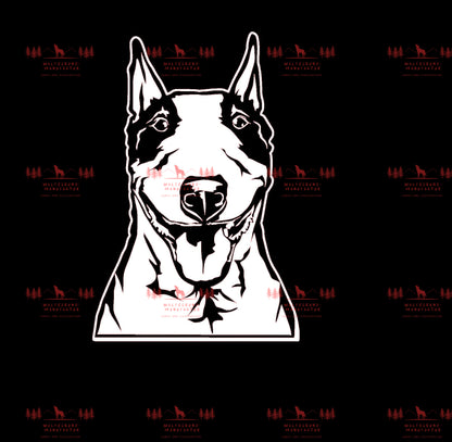 Bull Terrier 3