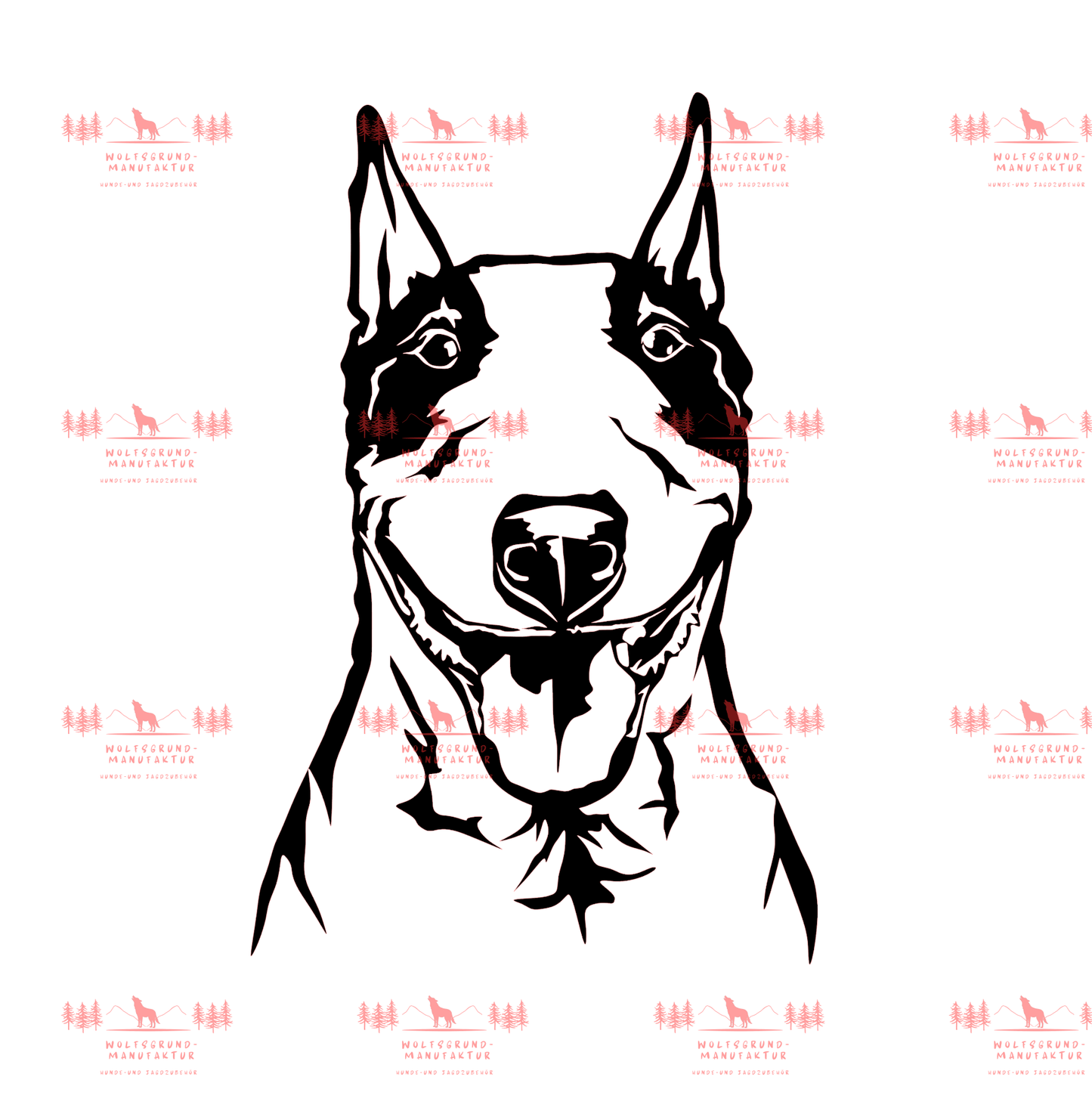 Bull Terrier 3