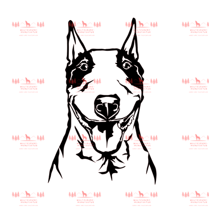 Bull Terrier 3