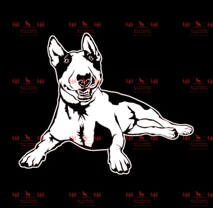 Bull Terrier 4