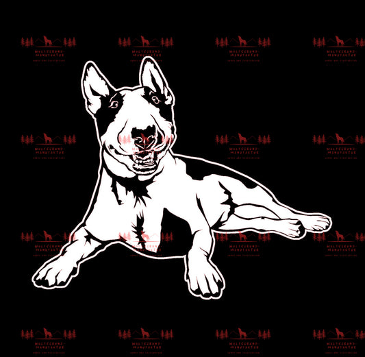 Bull Terrier 4