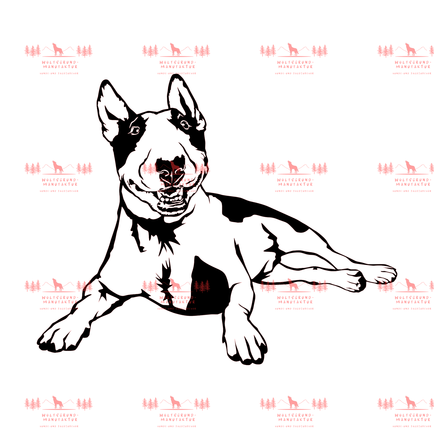 Bull Terrier 4