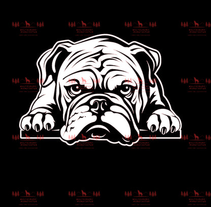 Bulldogge