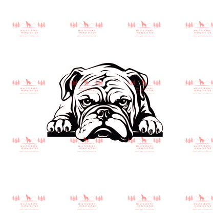 Bulldogge