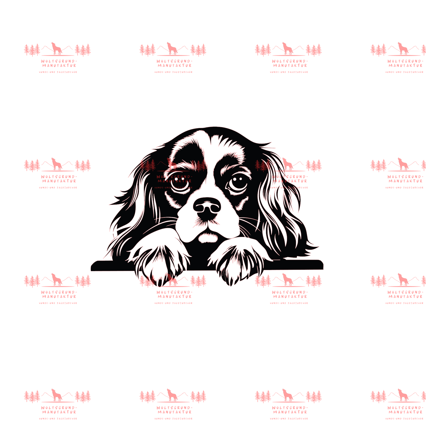 Cavalier King Charles Spaniel