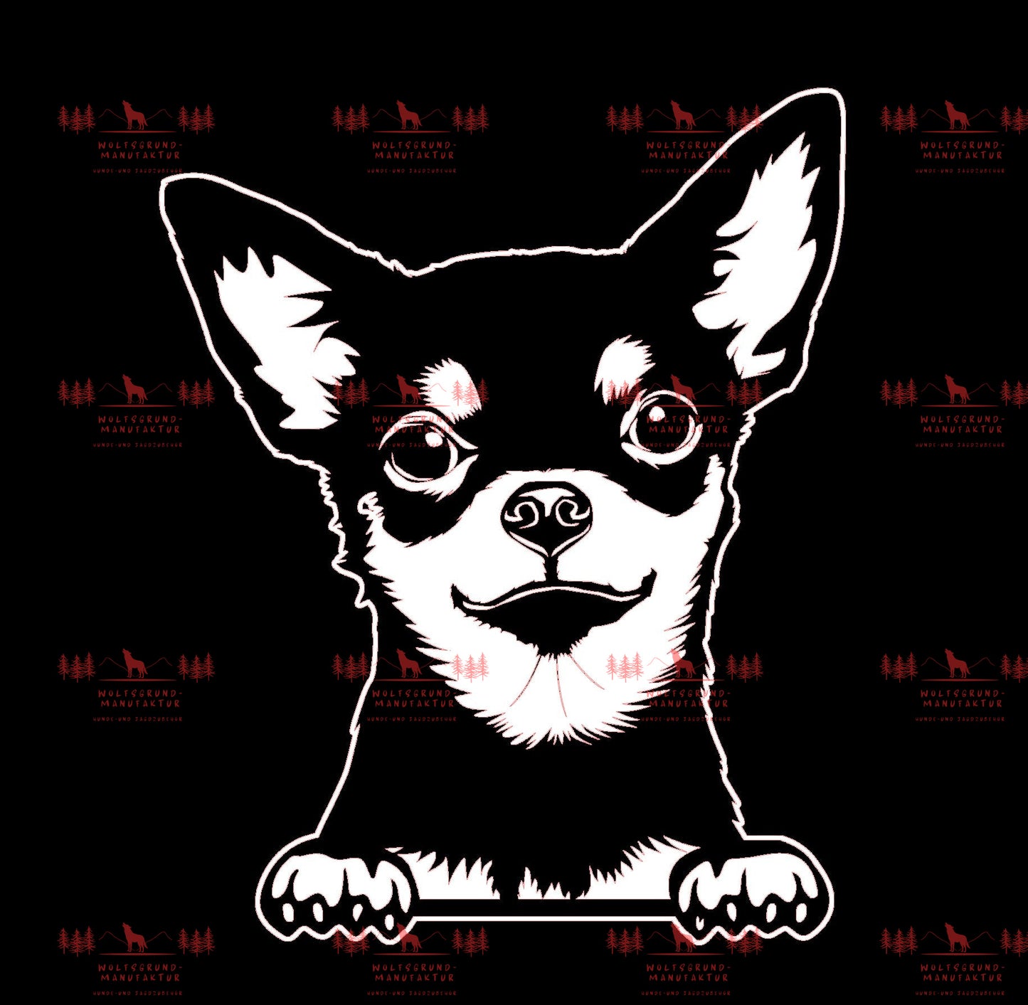 Chihuahua 2