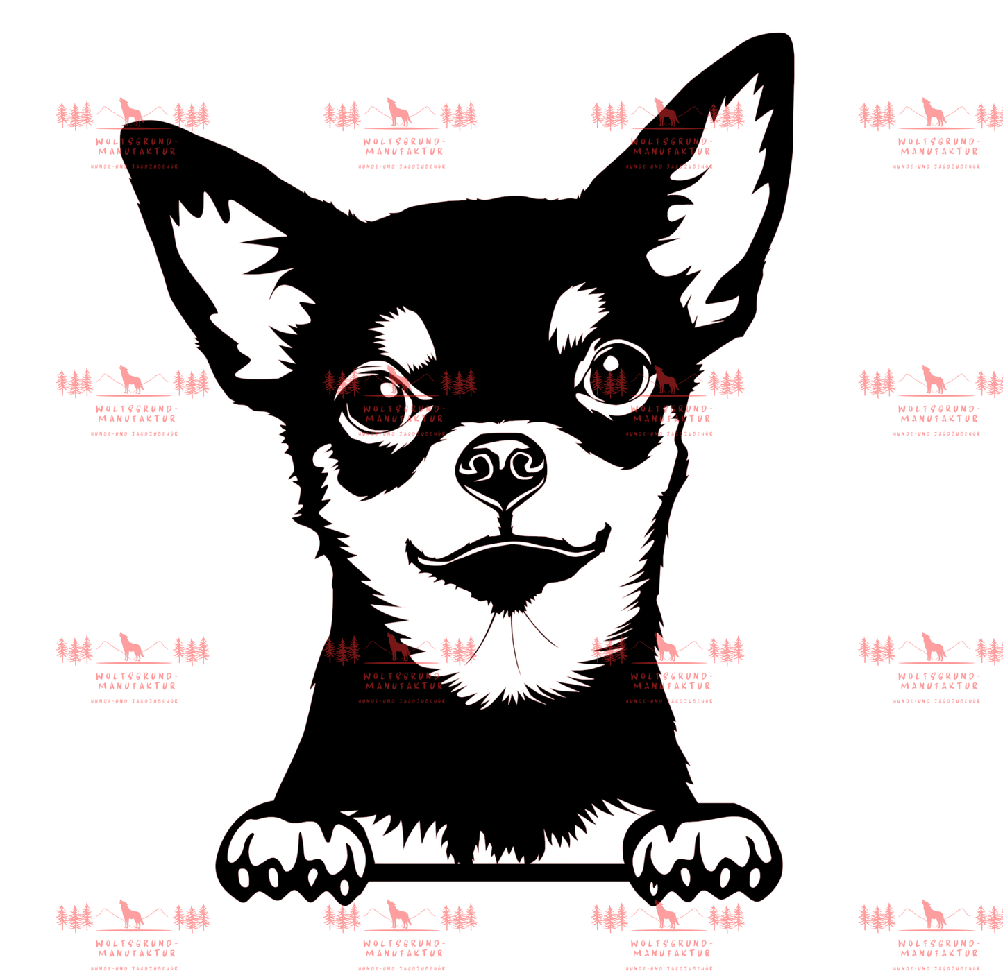 Chihuahua 2