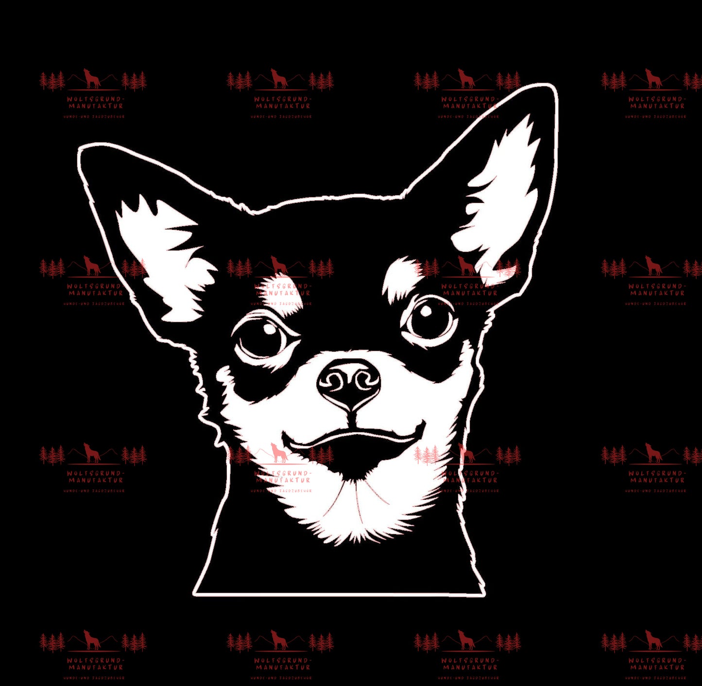 Chihuahua 3