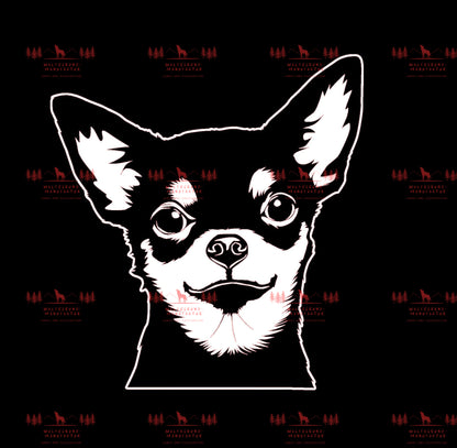 Chihuahua 3