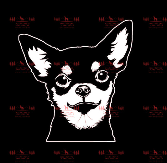 Chihuahua 3
