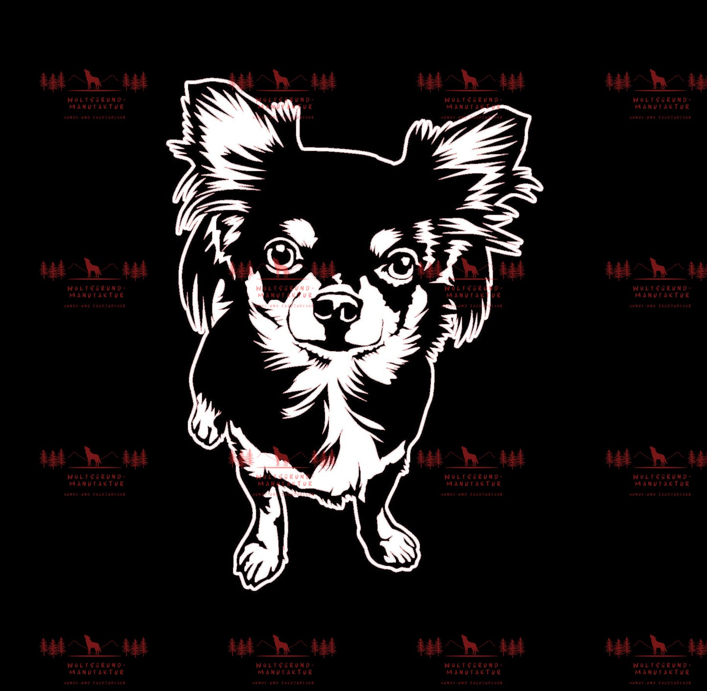 Chihuahua 5