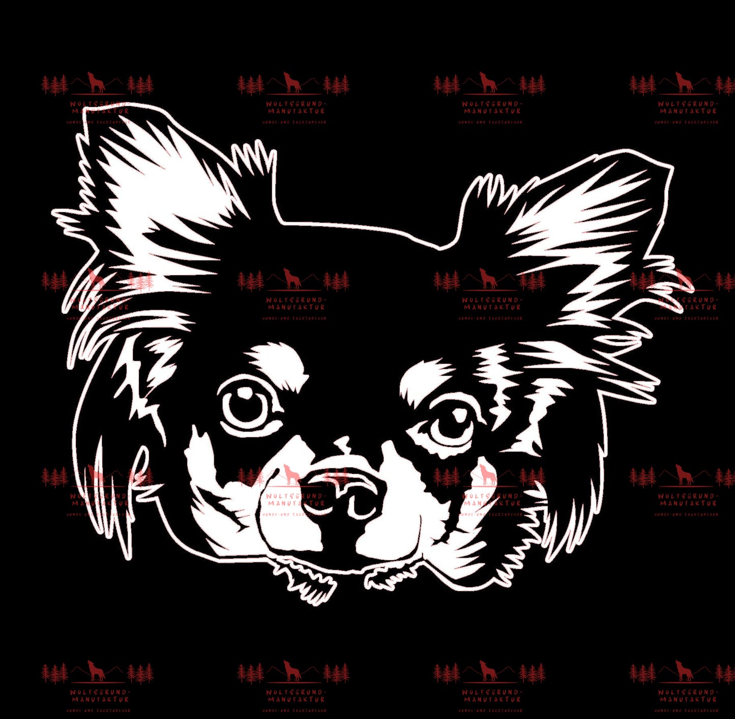 Chihuahua 6