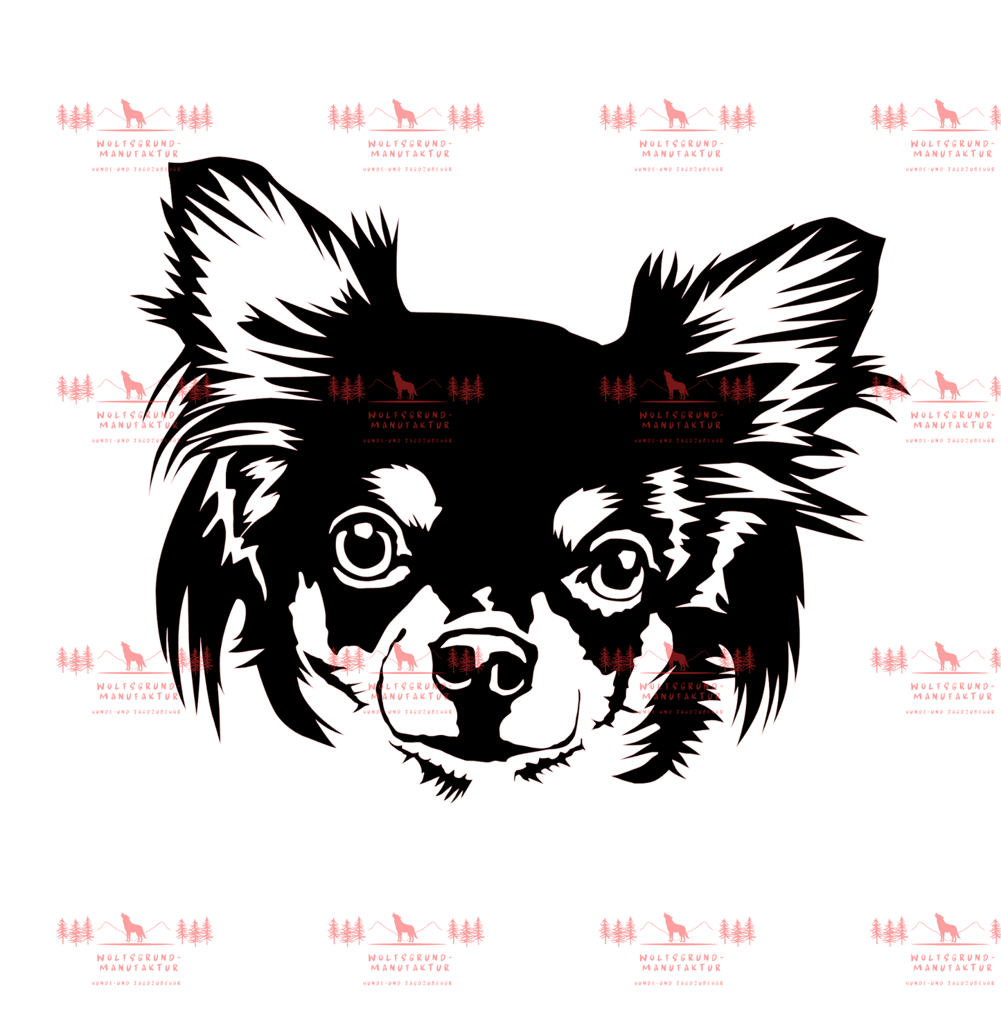 Chihuahua 6