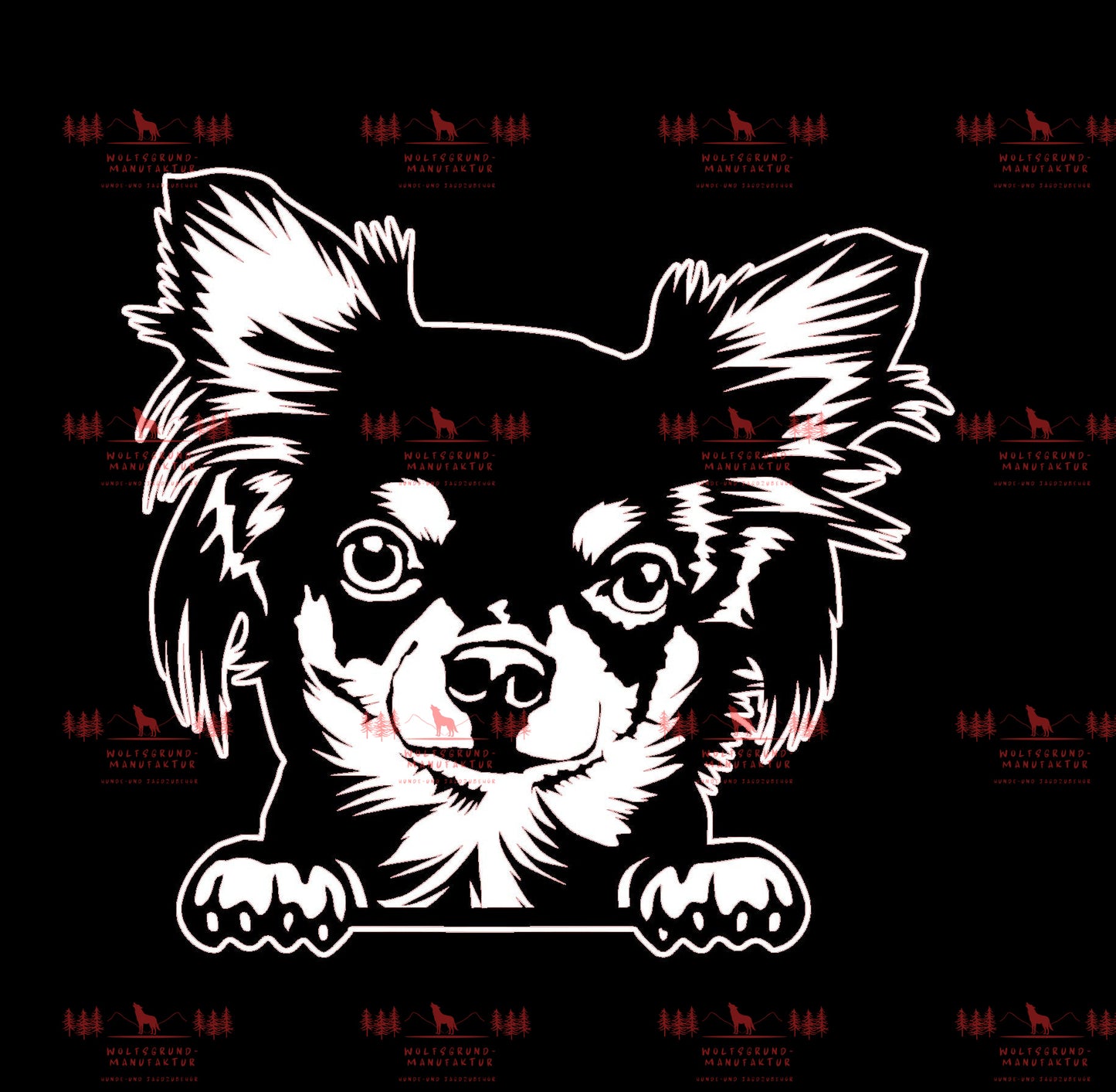 Chihuahua 7