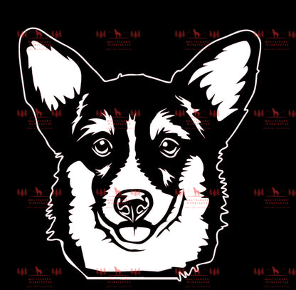Corgi 1