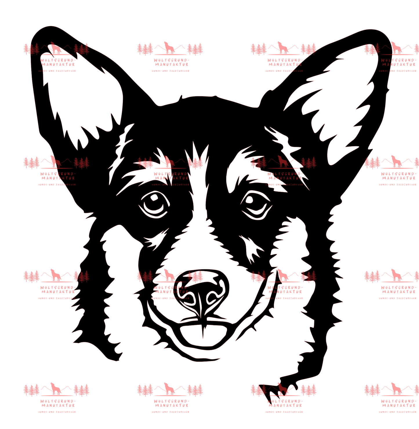 Corgi 1