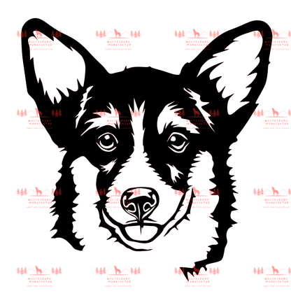 Corgi 1