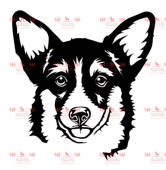 Corgi 1