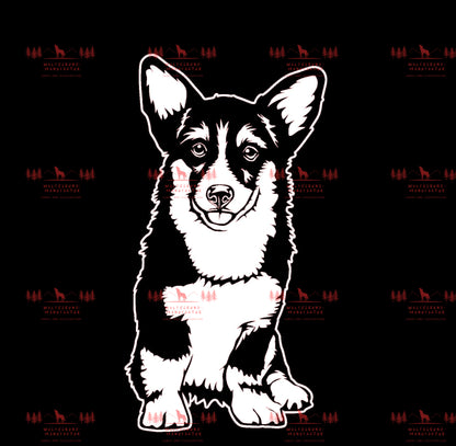 Corgi 2