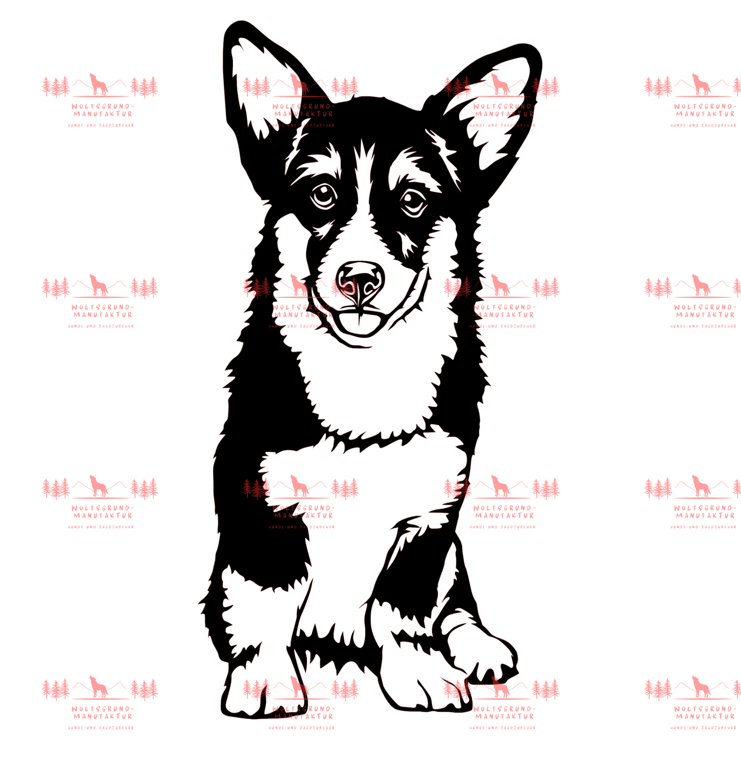 Corgi 2