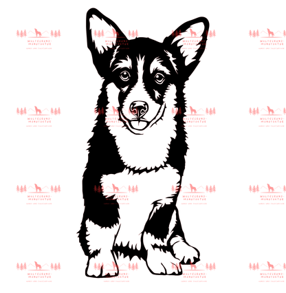 Corgi 2