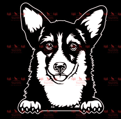 Corgi 3