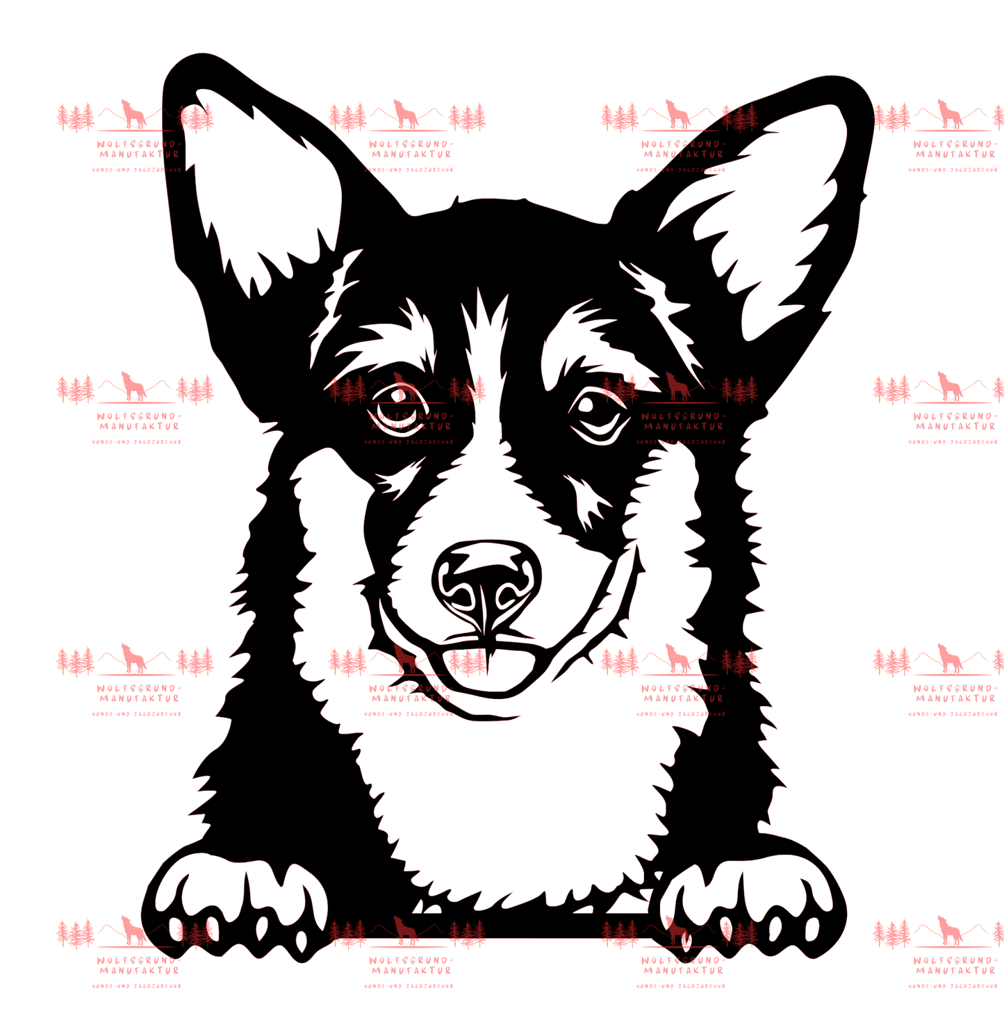 Corgi 3