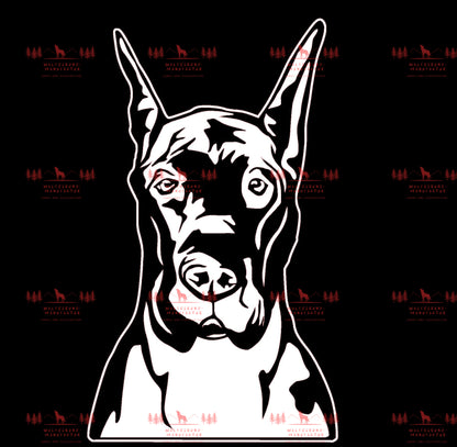 Deutsche Dogge 1