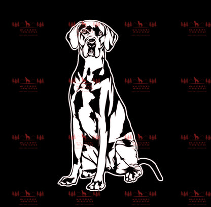 Deutsche Dogge 2