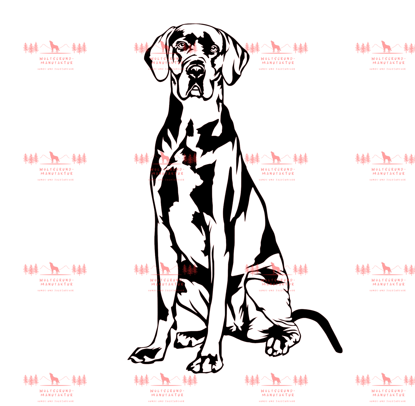 Deutsche Dogge 2
