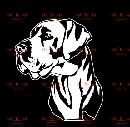 Deutsche Dogge 3