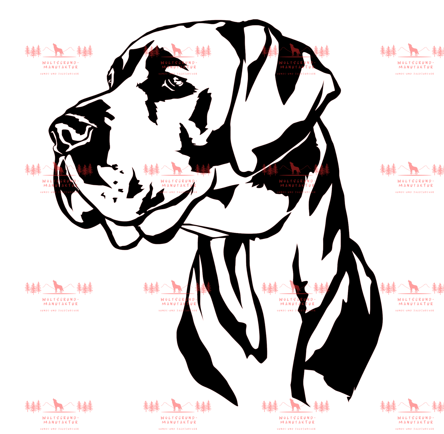 Deutsche Dogge 3