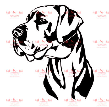 Deutsche Dogge 3