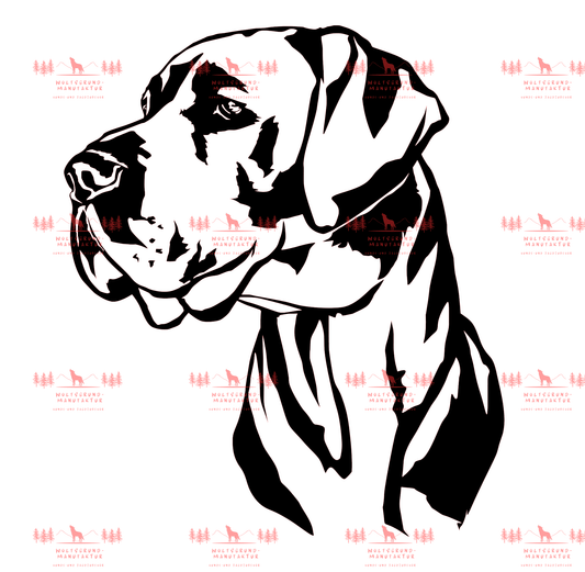 Deutsche Dogge 3