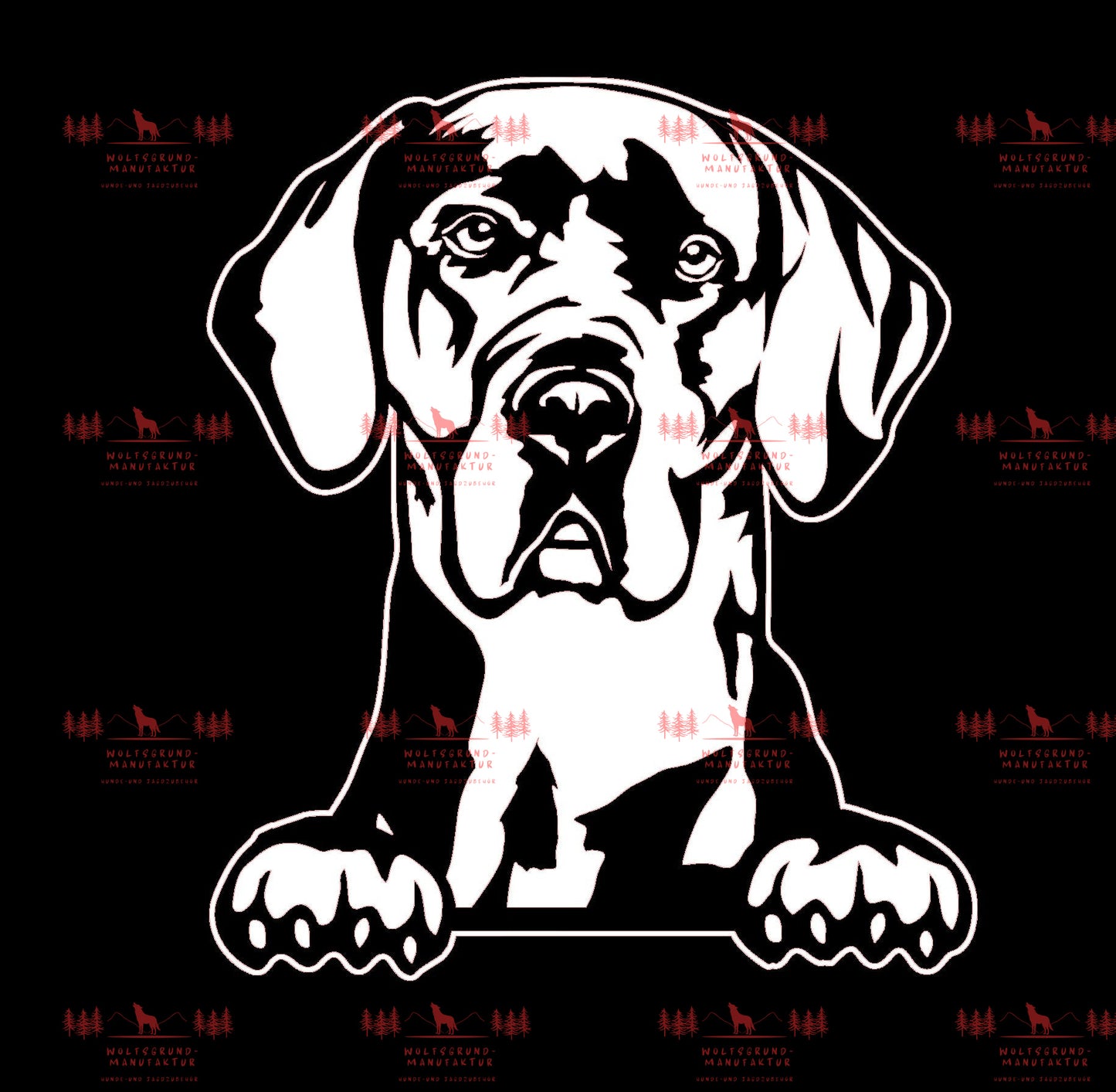 Deutsche Dogge 4