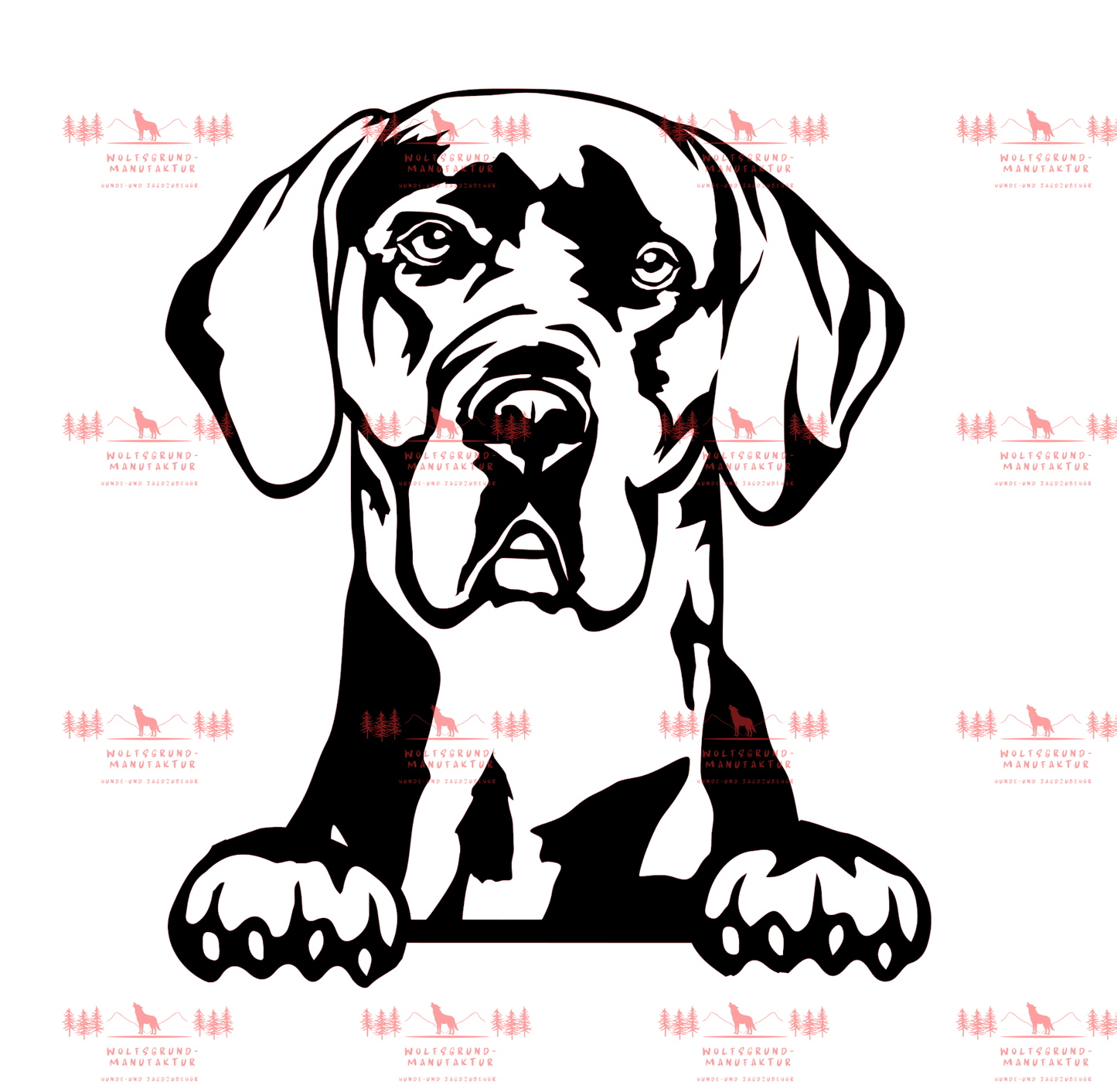 Deutsche Dogge 4