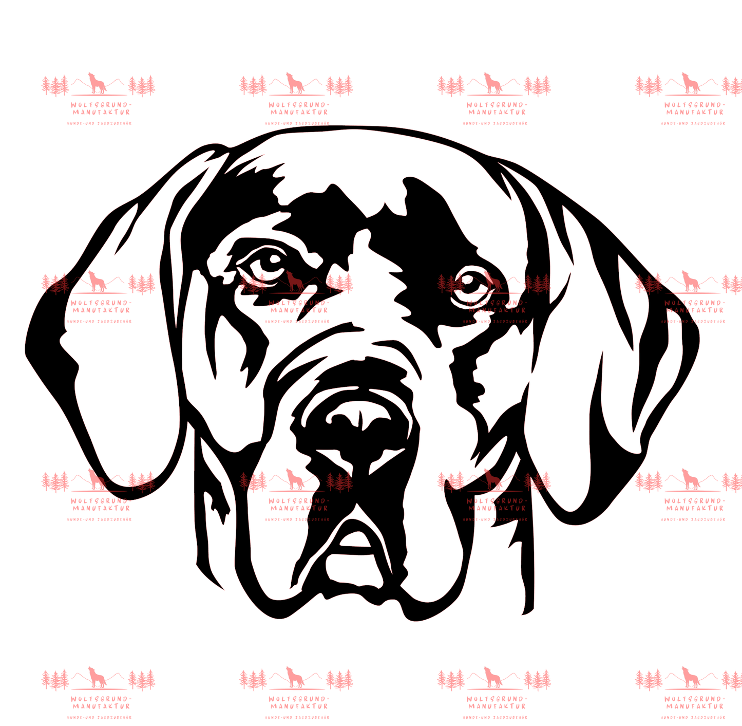 Deutsche Dogge 5