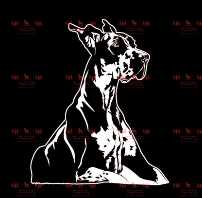 Deutsche Dogge 6