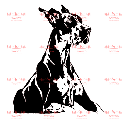 Deutsche Dogge 6