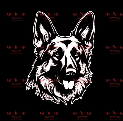Deutscher Schäferhund 1