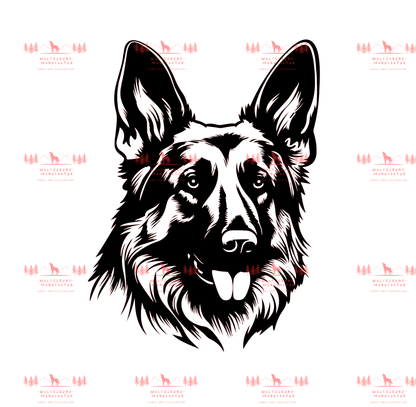 Deutscher Schäferhund 1