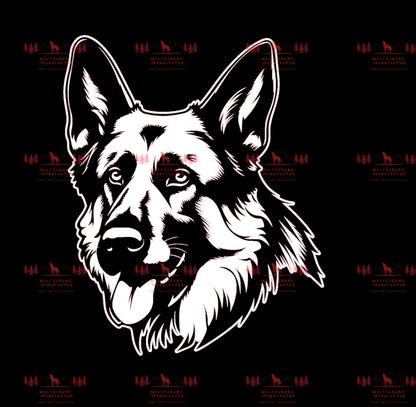 Deutscher Schäferhund 2